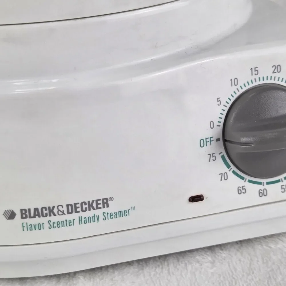 Black & Decker HS800 Flavor Scenter Handy Food Steamer Tested Working